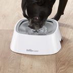 Bowl Cero Derrames para Mascotas - 1 Litro