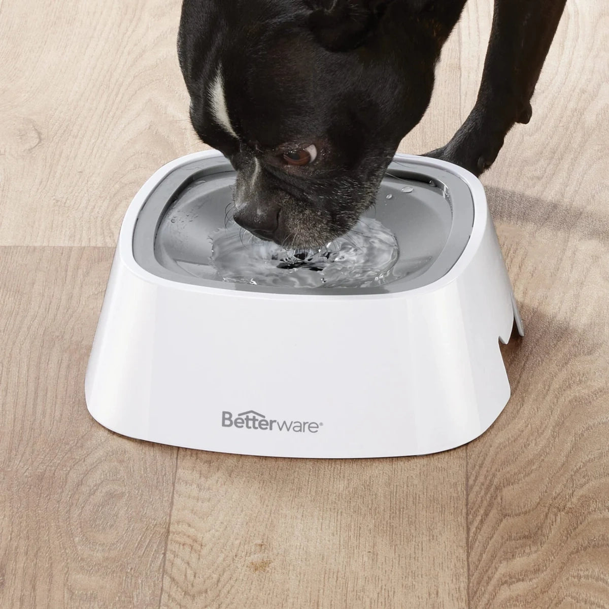 Bowl Cero Derrames para Mascotas - 1 Litro