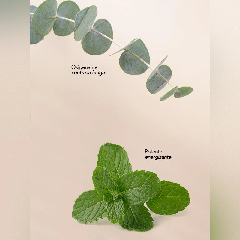 Jabón Artesanal Menta + Eucalipto (230 gr)